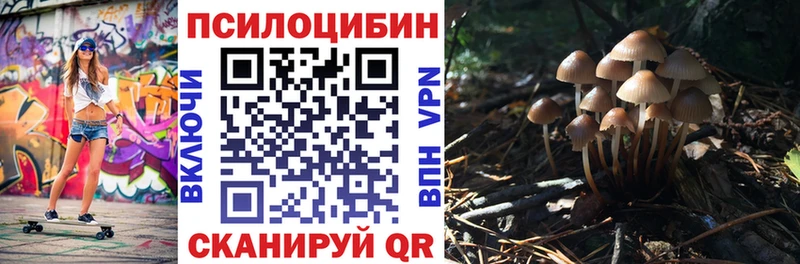 Псилоцибиновые грибы прущие грибы  Купить  Салават 